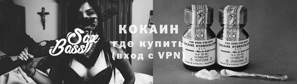гашик Алзамай