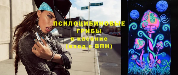 гашик Алзамай