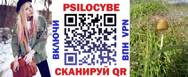 как найти закладки  Болхов  Псилоцибиновые грибы Psilocybe 