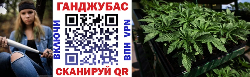 OMG сайт  Болхов  Шишки марихуана MAZAR 